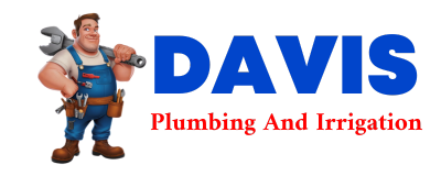 Trusted plumber in SOPCHOPPY